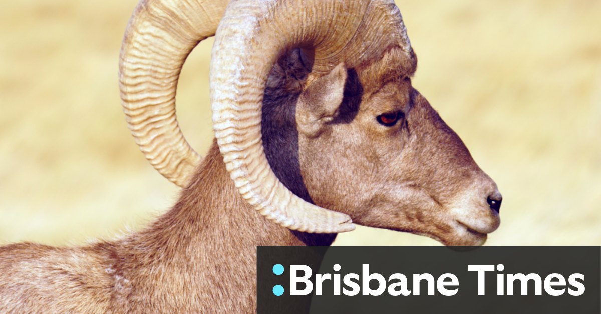 Badania wykazały, że „paliwo ewolucji” gatunków z doładowaniem ulega zmianom