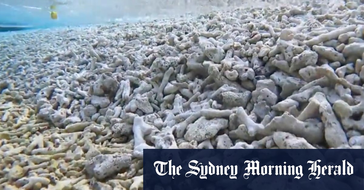 Philippines accuses China of destroying coral reef in South China Sea