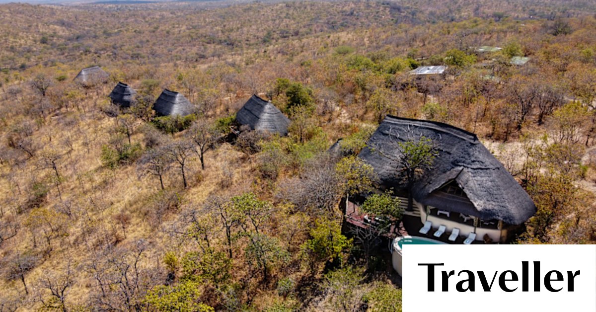 How to do an African safari on a budget: Where to go and when - Vimarsana News