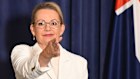 Leader of the Opposition Sussan Ley speaks to media after the Coalition split.