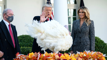 US President Donald Trump pardons a Thanksgiving turkey, Corn, during a ceremony with first lady Melania Trump in the Rose Garden of the White House  on Tuesday.