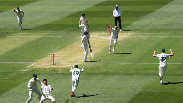 Boland celebrates after removing Joe Root. 