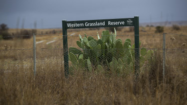 Part of the grassland reserve created from 2009 but never completed as promised.