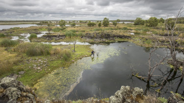 The Gunditjmara people engineered their land by building a complex system of weirs, channels and lakes upon the lava flows that run from Budj Bim to the sea.