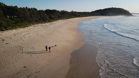 Dog walkers have had their access to Narrawallee Beach restricted.