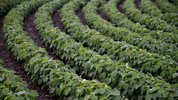 Nufarm shares were smashed on Monday after it released a negative trading update.