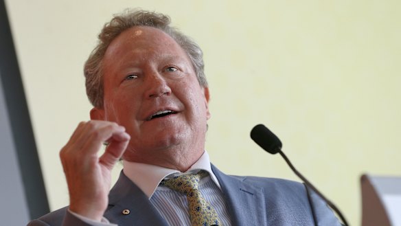 Fortescue chairman Andrew Forrest. 