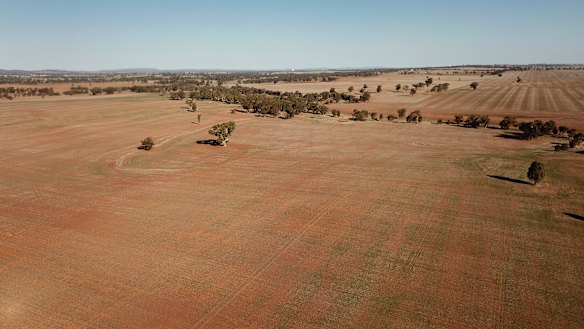 The drought has resulted in a spike in food prices.