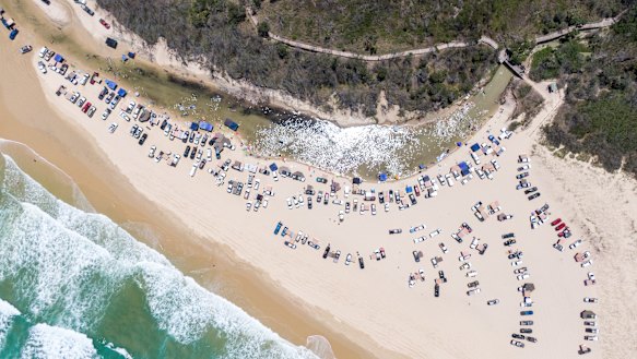 Eli Creek on K’gari is a victim of its own popularity.