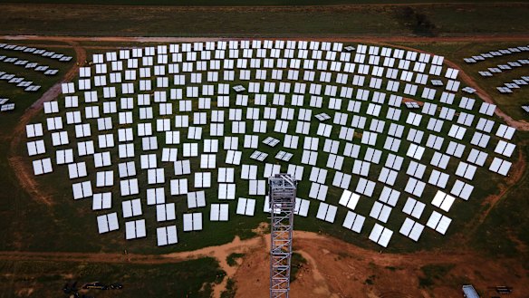 The Albanese government has launched a $1 billion fund for local solar manufacturing. Pictured is the RayGen solar project near Albury. 