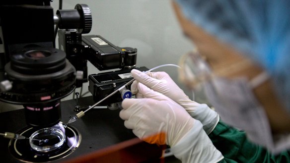 Experts have particular concerns about gene editing babies because of possible DNA changes being passed on. 