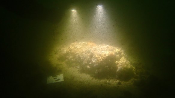 A photograph, taken by marine archaeologists in Newport Harbour, of the remains of what is believed to be the Endeavour