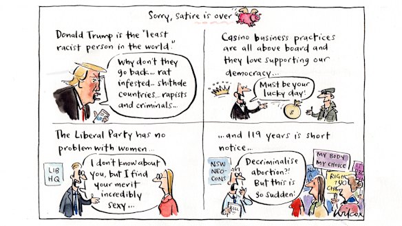 Illustration: Cathy Wilcox