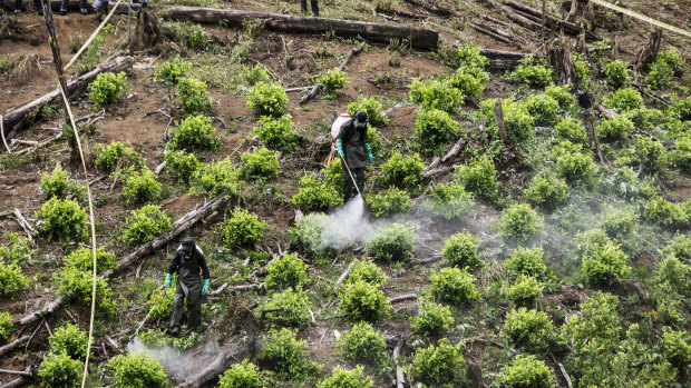 Maurice Blackburn has fielded hundreds of inquiries over Roundup in recent months, mainly over workplace exposures.