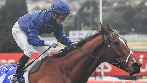Moonee Valley was cancelled with four races to go due to constant rain that affected the track. 