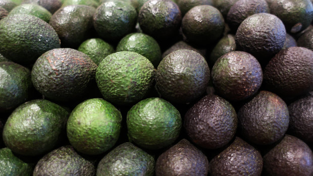 In Mexico's Michoacan, drug cartels command parts of the valuable avocado business.