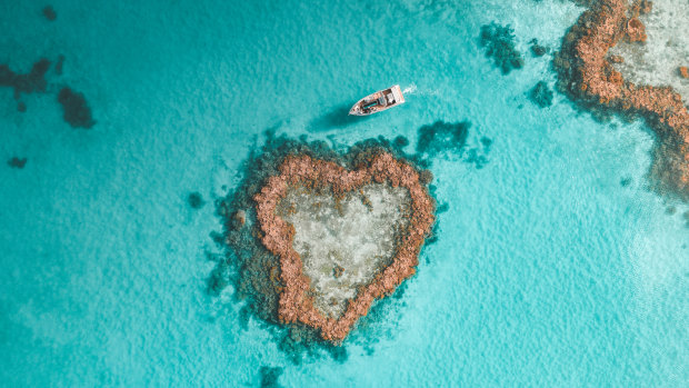 The iconic Heart Island is one of the drawcards of the Great Barrier Reef.