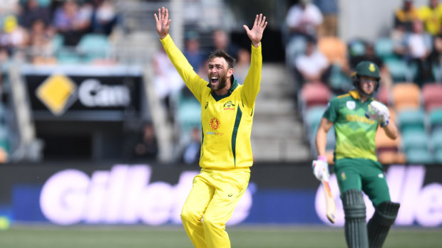 Overturned: Australia's Glenn Maxwell successfully appeals for the wicket of South Africa's David Miller, only to have the decision reversed on review during the third One-Day International match at Blundstone Arena in Hobart.
