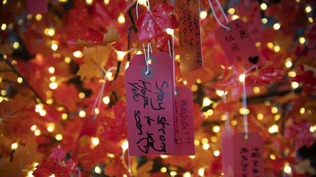 Messages of support for stranded Chinese students are displayed on a solidarity tree at the University of Sydney.