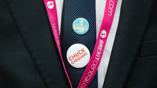 A delegate wears pro-Brexit badges during the Conservative Party annual conference in Birmingham.