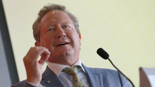 Fortescue chairman Andrew Forrest. 
