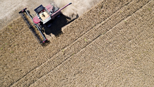 Soybeans being harvested in Illinois, US. China is the world's largest importer of soybeans.
