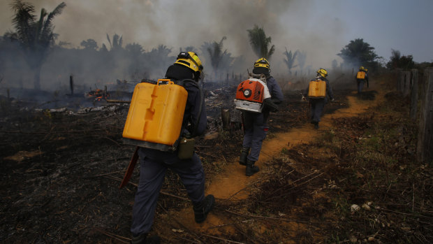 The Brazilian Amazon recorded more fires in the first week of September alone than in the whole of the same month last year, according to Brazil Institute for Space Research. Fires are a common way to clear land for crops and grazing.