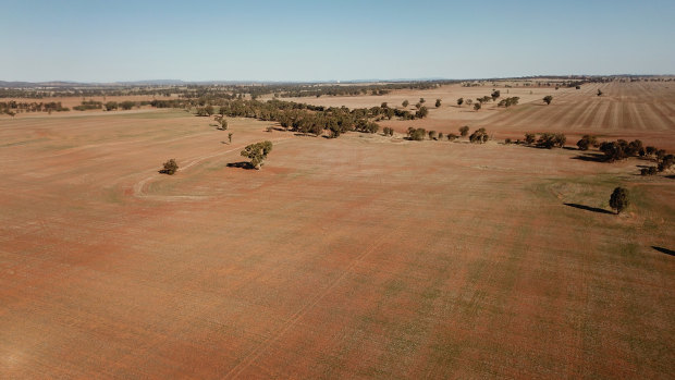 The drought has resulted in a spike in food prices.