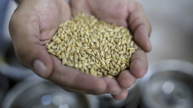 China imposed extra tariffs on Australian barley in May.