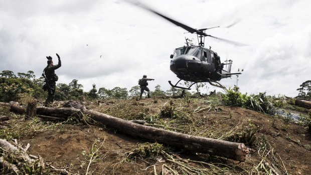 Anti-Narcotics police officers guide a police helicopter to land over a coca field during an operation in Tumaco, Colombia, last year.
