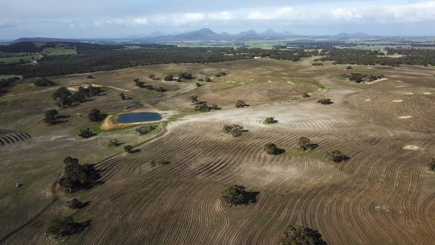 A 400-hectare tree-planting project in Sukey Hill just east of Cranbrook that Greening Australia is carrying out for Woodside, part of a 5000-hectare commitment. 
