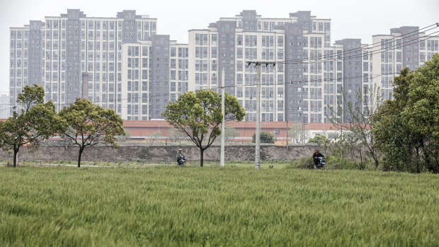 Rice grows in a field as new residential buildings stand in the background on the outskirts of Shanghai in 2017.