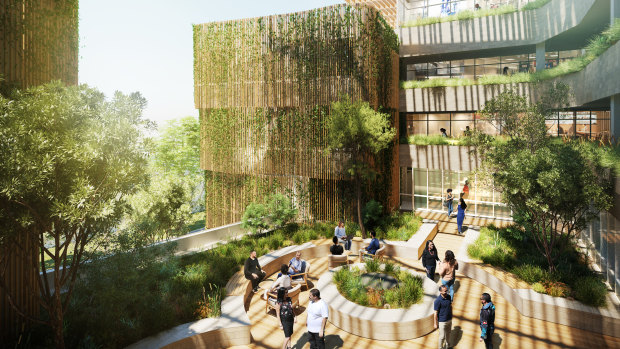 Artists impressions of what Australia's first indigenous residential college at UTS might look like.