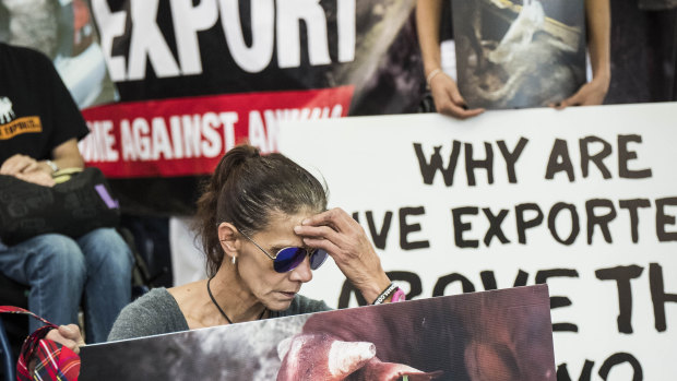 A recent protest against live export trade.
