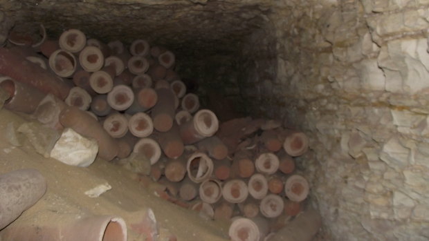 Millions of ibis mummies have been found in Egypt, often stacked floor-to-ceiling in temple catacombs