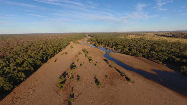 The Fitzroy River in WA's Kimberley region.