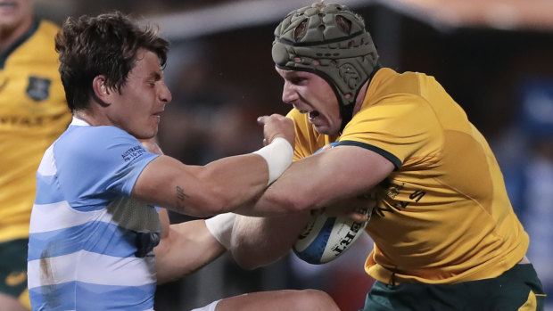 Fightback: David Pocock fires up for the Wallabies in Salta last year.