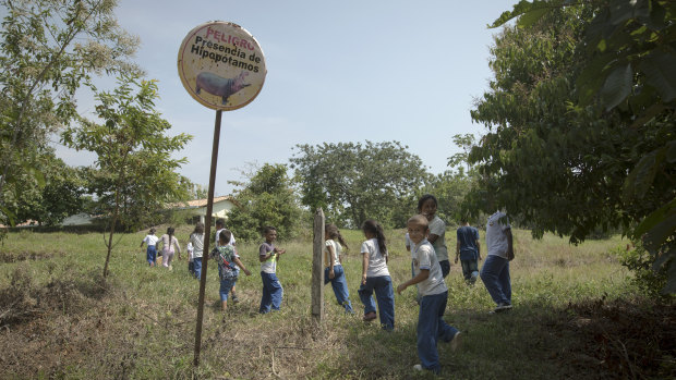 Children walk past a sign reading in Spanish "Danger presence of hippos" as they arrive for class at a school near the Napoles Park in Puerto Triunfo.