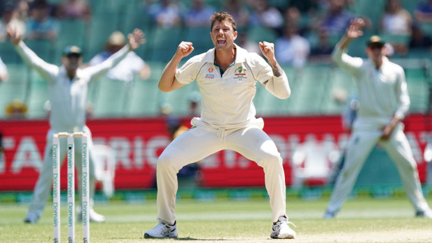 Pace ace: James Pattinson celebrates after dismissing New Zealand captain Kane Williamson on day four at the MCG.