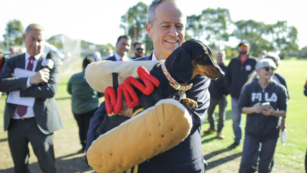 Labor leader Bill Shorten with Eva, the 'Democracy Sausage Dog', this week.