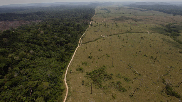 A deforested area near Novo Progresso in Brazil's northern state of Para.