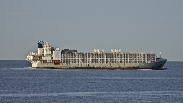 The Gulf Livestock 1 cargo vessel sails through Port Phillip Heading into Bass Strait, Victoria, in April last year.