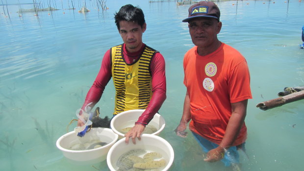 Paul Southgate will boost stocks of a high-value sea cucumber in south-east Asia. 