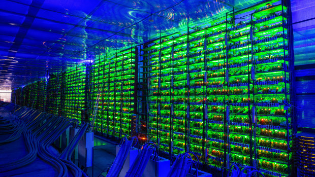  Illuminated cryptocurrency mining rigs.