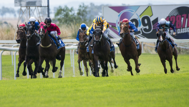 There will be eight races at Tamworth on Tuesday.