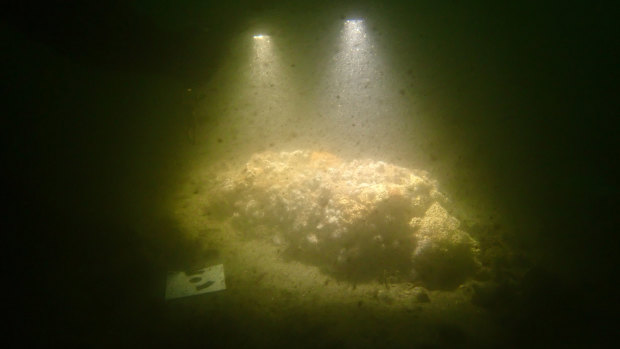 A photograph, taken by marine archaeologists in Newport Harbour, of the remains of what is believed to be the Endeavour