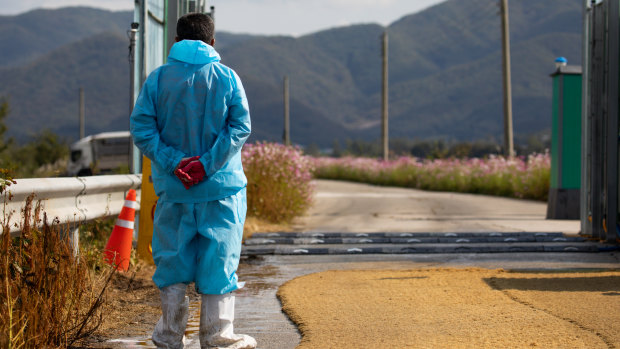 A worker stands at a vehicle disinfection system placed on a road near a pig farm in Yeoncheon, South Korea.
