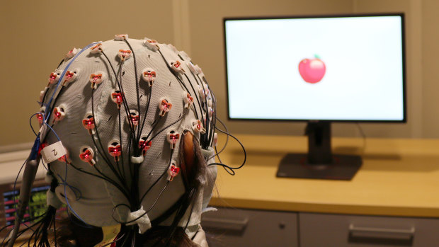 A cap that administers electrical stimulation and monitors brain waves for a visual working memory test at Boston University.