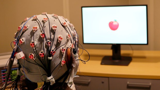 A cap that administers electrical stimulation and monitors brain waves for a visual working memory test at Boston University.