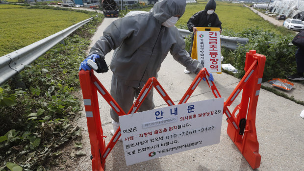 South Korean officials setting up a swine flu quarantine. Could a pork shortage be what drives Chinese officials to a trade deal? 
